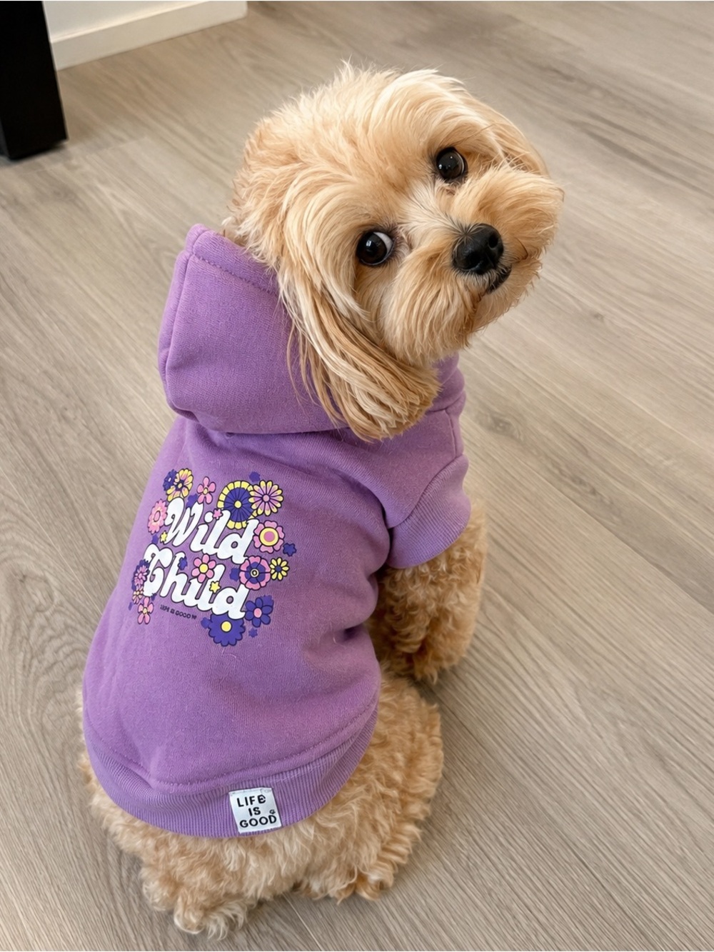 Life is Good Wild Child Purple Fleece Dog Hoodie XS | Cozy Pet Sweatshirt